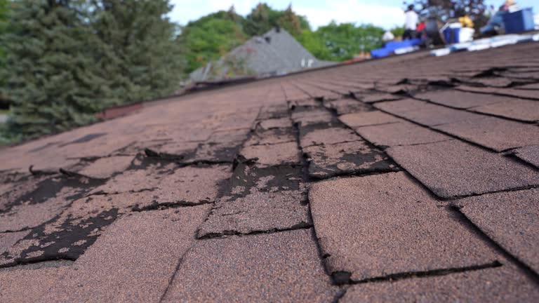 Best 4 Ply Roofing  in Paia, HI