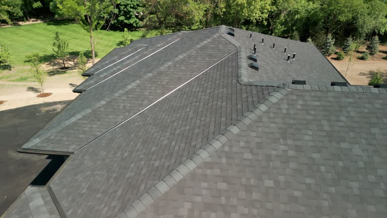 Best Steel Roofing  in Paia, HI