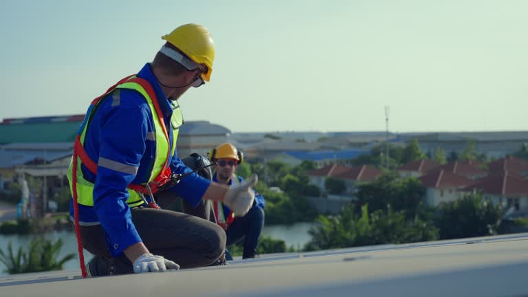Best Metal Roofing Installation  in Paia, HI
